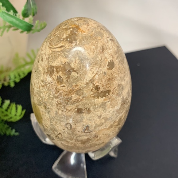 Beautiful brown, tan and cream colored MARBLE egg - Picture 4 of 10